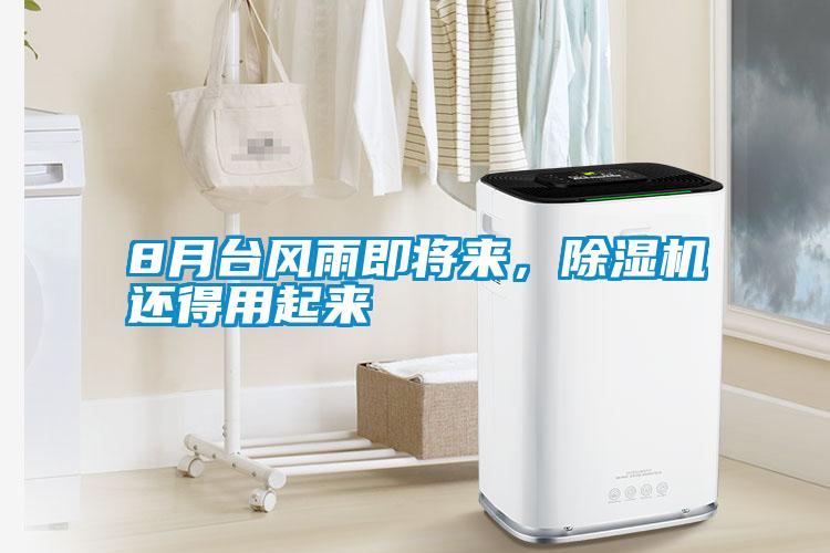 8月臺風雨即將來，除濕機還得用起來