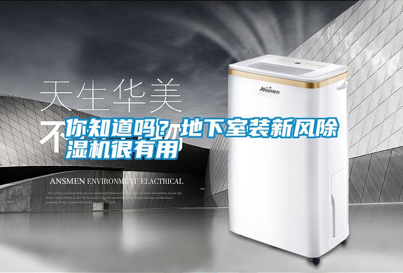 你知道嗎？地下室裝新風除濕機很有用