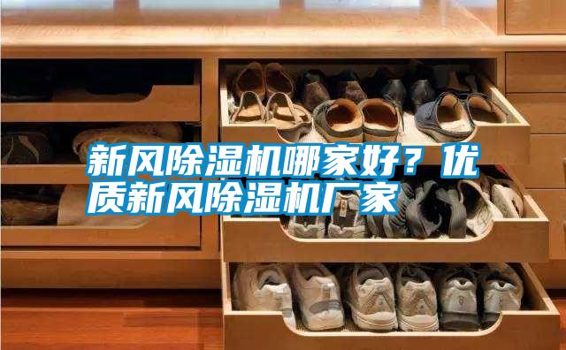 新風除濕機哪家好？優(yōu)質新風除濕機廠家