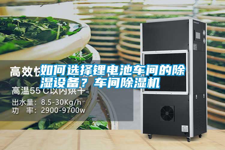 如何選擇鋰電池車間的除濕設(shè)備？車間除濕機(jī)
