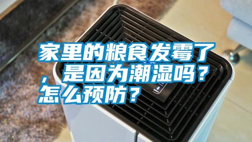 家里的糧食發霉了，是因為潮濕嗎？怎么預防？