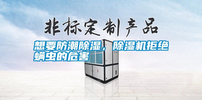 想要防潮除濕，除濕機拒絕螨蟲的危害