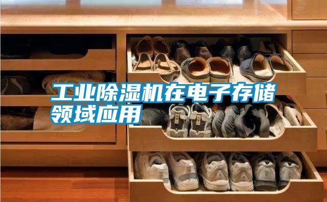 工業除濕機在電子存儲領域應用