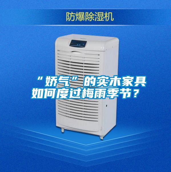 “嬌氣”的實木家具如何度過梅雨季節?