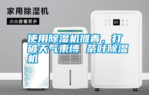 使用除濕機攤青，打破天氣束縛 茶葉除濕機