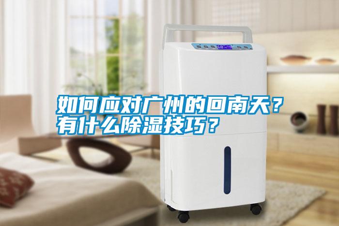 如何應(yīng)對(duì)廣州的回南天？有什么除濕技巧？