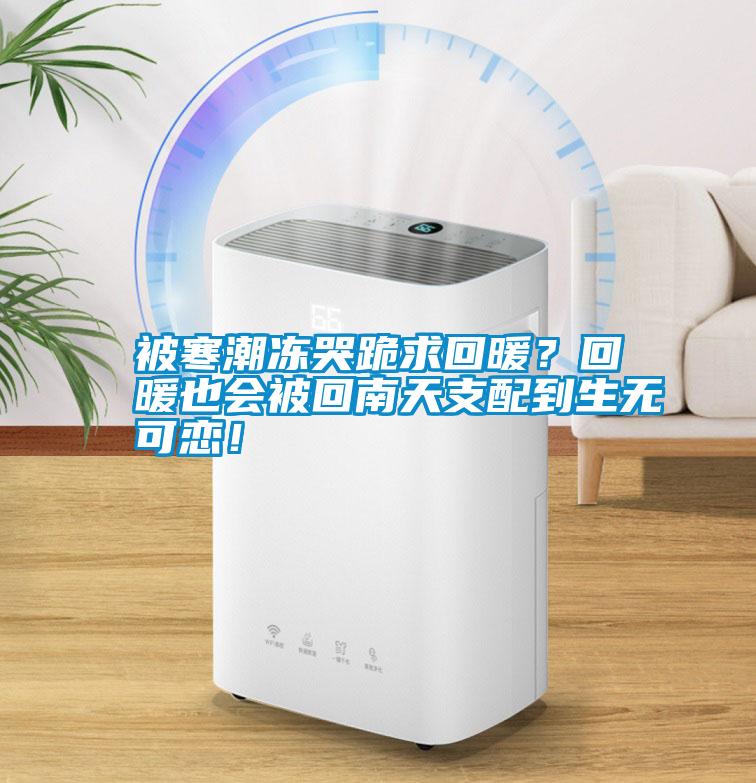 被寒潮凍哭跪求回暖？回暖也會被回南天支配到生無可戀！