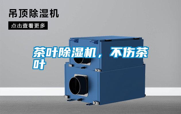 茶葉除濕機,不傷茶葉
