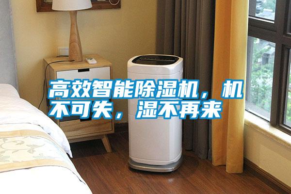 高效智能除濕機,機不可失,濕不再來