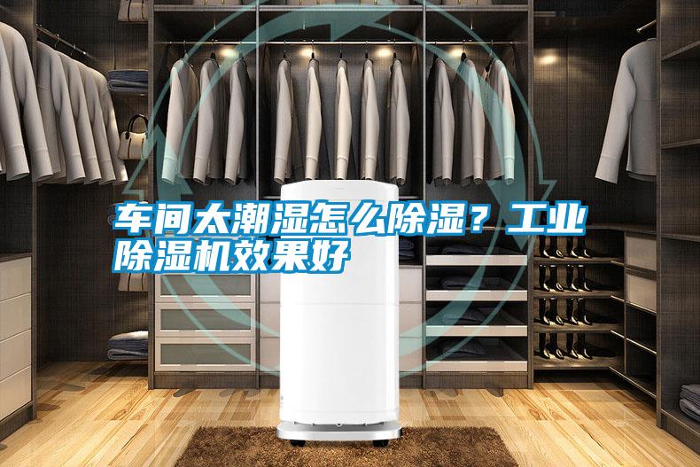 車間太潮濕怎么除濕？工業除濕機效果好
