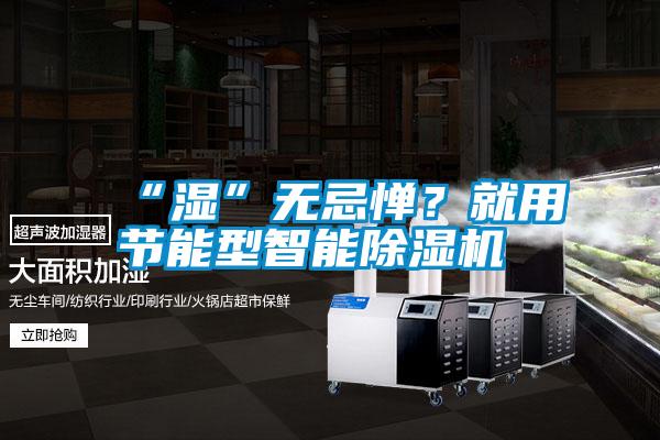 “濕”無忌憚?就用節能型智能除濕機