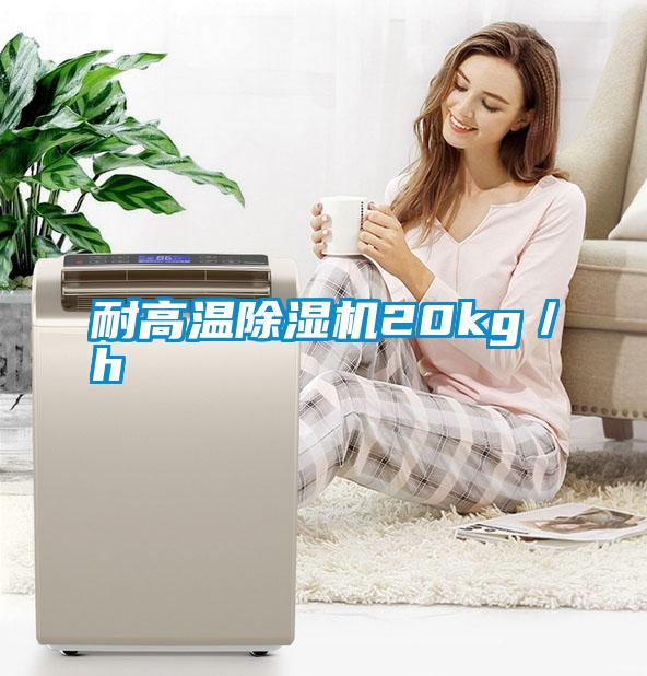 耐高溫除濕機(jī)20kg/h