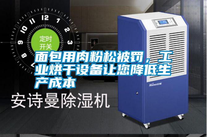 面包用肉粉松被罰,工業烘干設備讓您降低生產成本