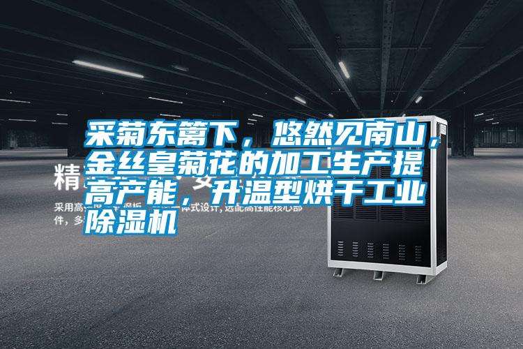 采菊東籬下,悠然見南山,金絲皇菊花的加工生產(chǎn)提高產(chǎn)能,升溫型烘干工業(yè)除濕機(jī)