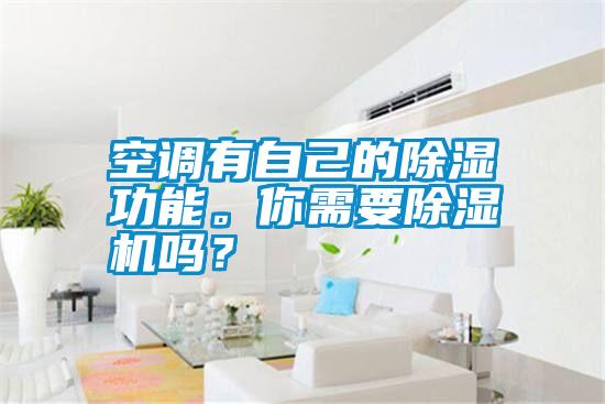 空調(diào)有自己的除濕功能。你需要除濕機(jī)嗎?