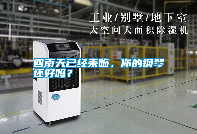 回南天已經(jīng)來臨，你的鋼琴還好嗎？