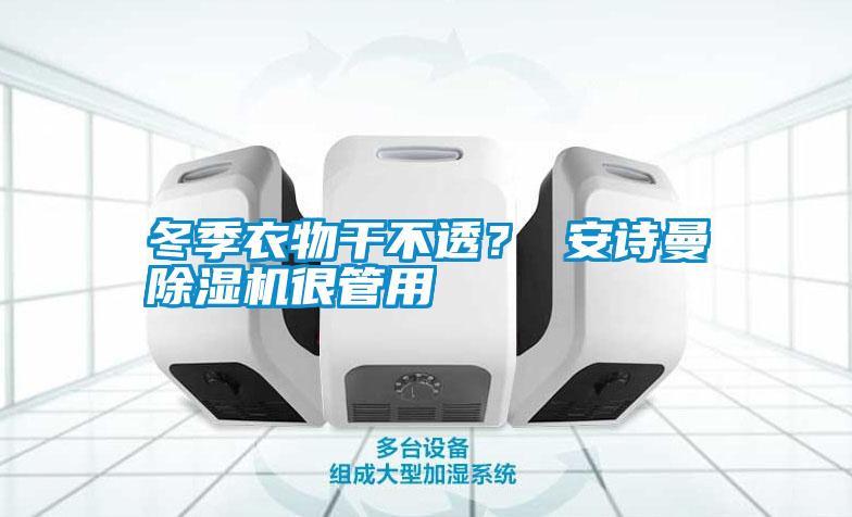 冬季衣物干不透？ 安詩曼除濕機很管用