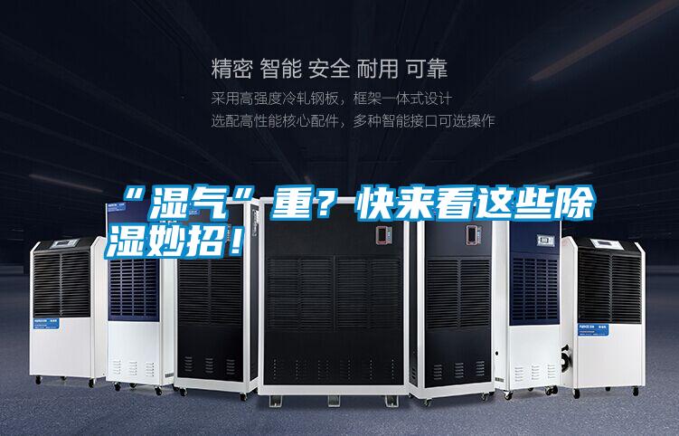 “濕氣”重？快來看這些除濕妙招！