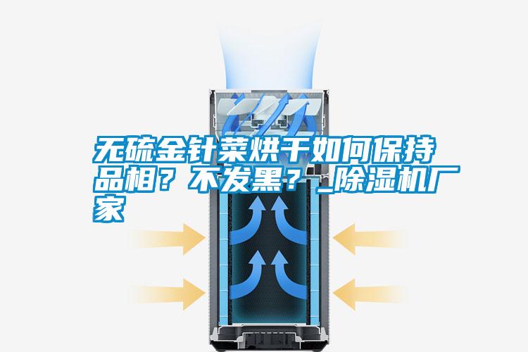無(wú)硫金針菜烘干如何保持品相?不發(fā)黑?_除濕機(jī)廠家
