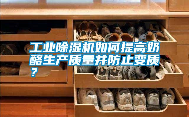 工業(yè)除濕機如何提高奶酪生產(chǎn)質量并防止變質？