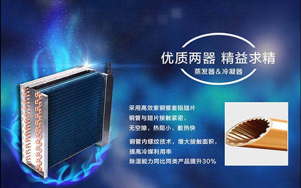 濕冷冬季，如何應對