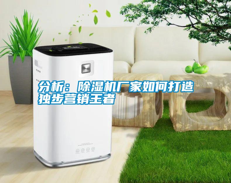分析：除濕機(jī)廠家如何打造獨(dú)步營銷王者