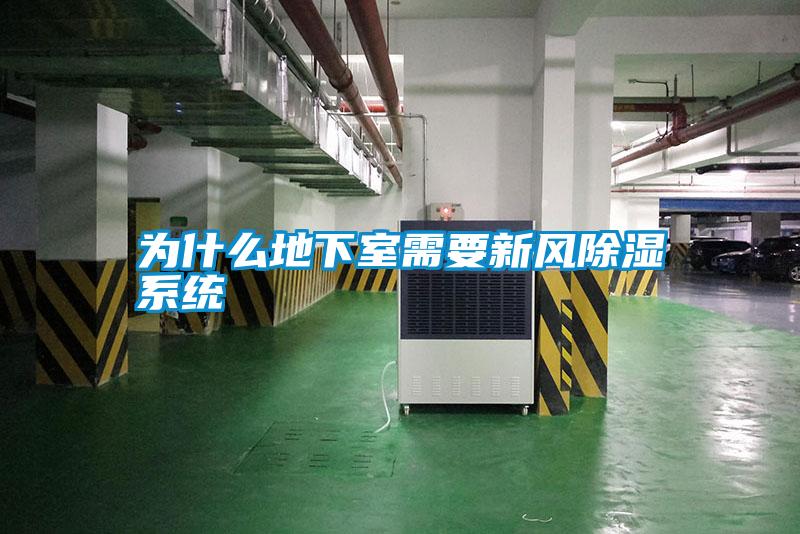 為什么地下室需要新風除濕系統