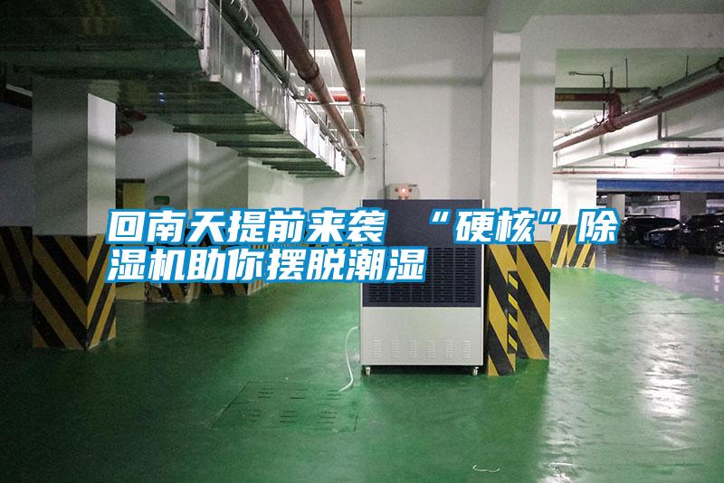 回南天提前來(lái)襲 “硬核”除濕機(jī)助你擺脫潮濕