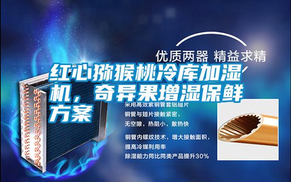 紅心獼猴桃冷庫(kù)加濕機(jī)，奇異果增濕保鮮方案