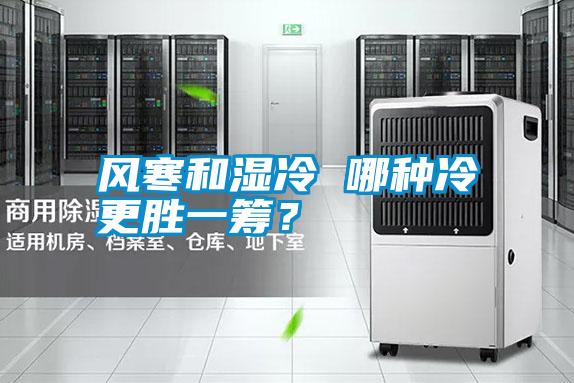 風(fēng)寒和濕冷 哪種冷更勝一籌?