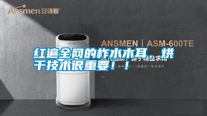 紅遍全網的柞水木耳，烘干技術很重要??！