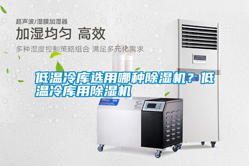 低溫冷庫選用哪種除濕機？低溫冷庫用除濕機