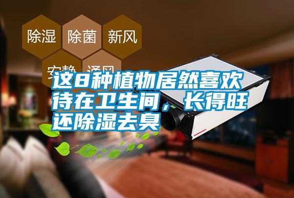 這8種植物居然喜歡待在衛生間，長得旺還除濕去臭