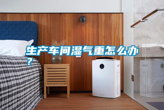 生產(chǎn)車(chē)間濕氣重怎么辦?
