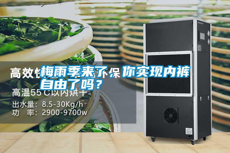 梅雨季來了，你實(shí)現(xiàn)內(nèi)褲自由了嗎？