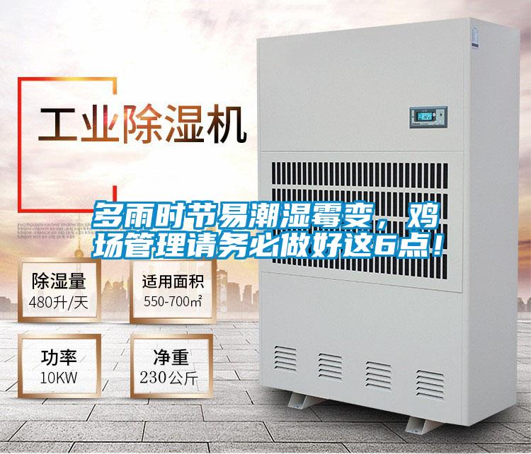 多雨時節易潮濕霉變，雞場管理請務必做好這6點！