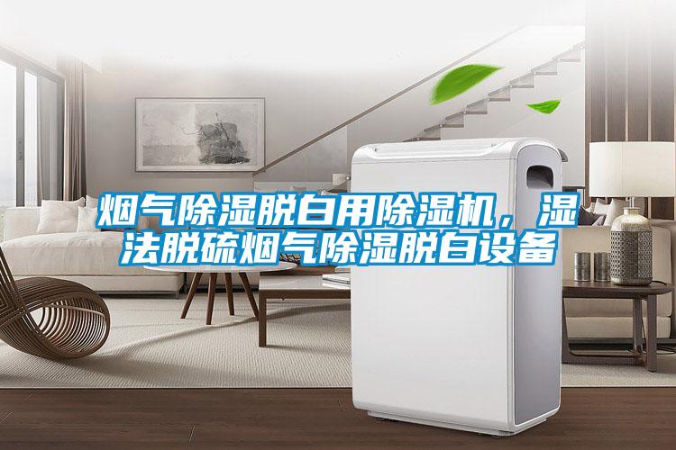 煙氣除濕脫白用除濕機，濕法脫硫煙氣除濕脫白設(shè)備
