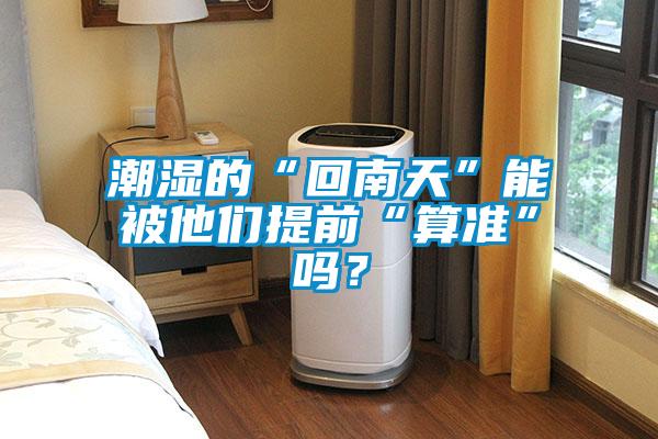 潮濕的“回南天”能被他們提前“算準”嗎?