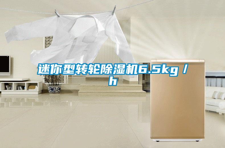 迷你型轉輪除濕機6.5kg/h