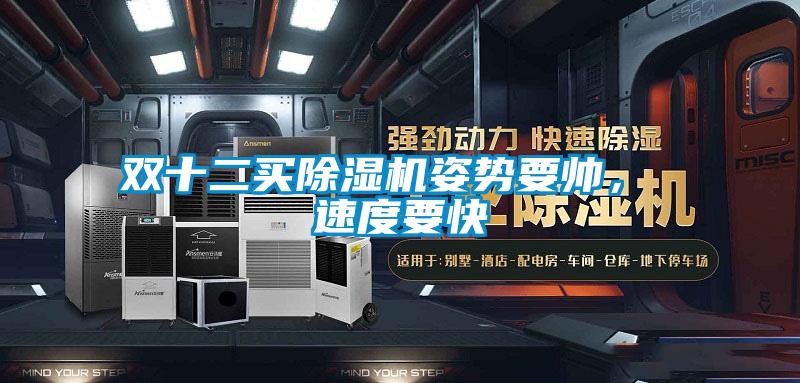 雙十二買除濕機(jī)姿勢要帥, 速度要快