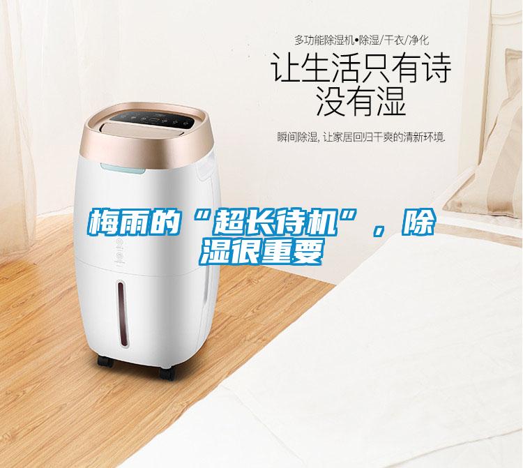 梅雨的“超長待機”，除濕很重要