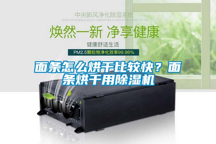 面條怎么烘干比較快？面條烘干用除濕機