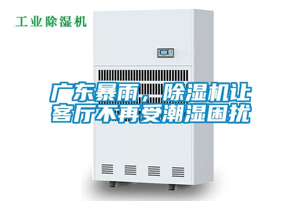 廣東暴雨，除濕機讓客廳不再受潮濕困擾