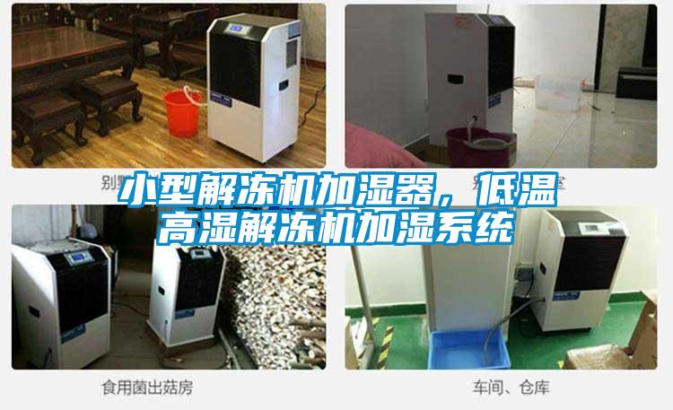 小型解凍機(jī)加濕器，低溫高濕解凍機(jī)加濕系統(tǒng)