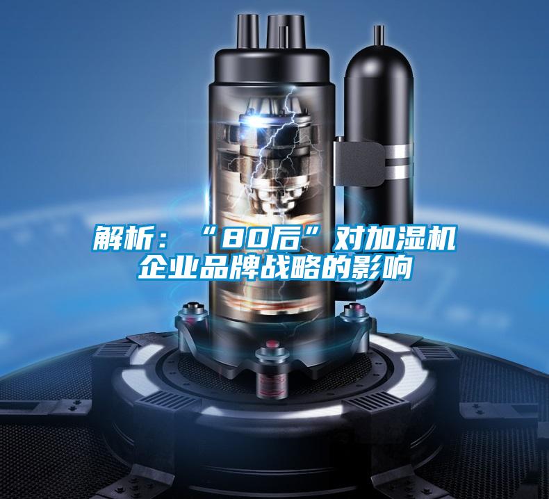解析:“80后”對加濕機企業(yè)品牌戰(zhàn)略的影響