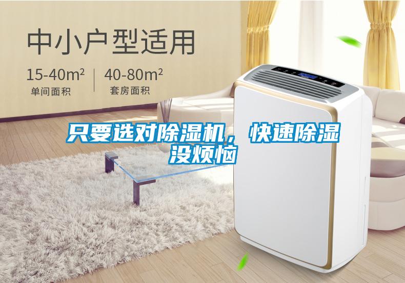 只要選對(duì)除濕機(jī)，快速除濕沒煩惱