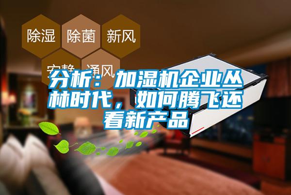 分析:加濕機企業(yè)叢林時代,如何騰飛還看新產(chǎn)品