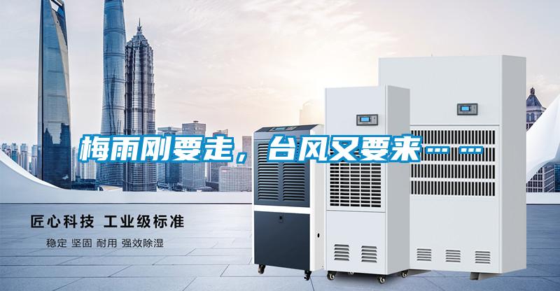 梅雨剛要走,臺(tái)風(fēng)又要來……