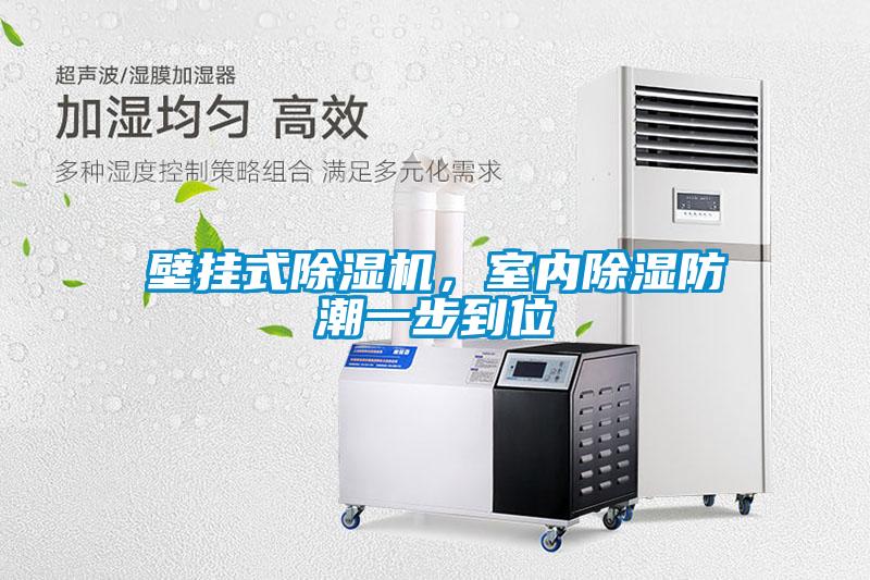 壁掛式除濕機，室內(nèi)除濕防潮一步到位