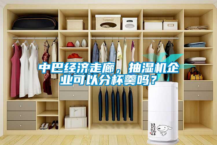 中巴經濟走廊，抽濕機企業可以分杯羹嗎？